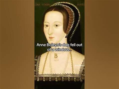 tudor fun facts|creepy tudor facts.